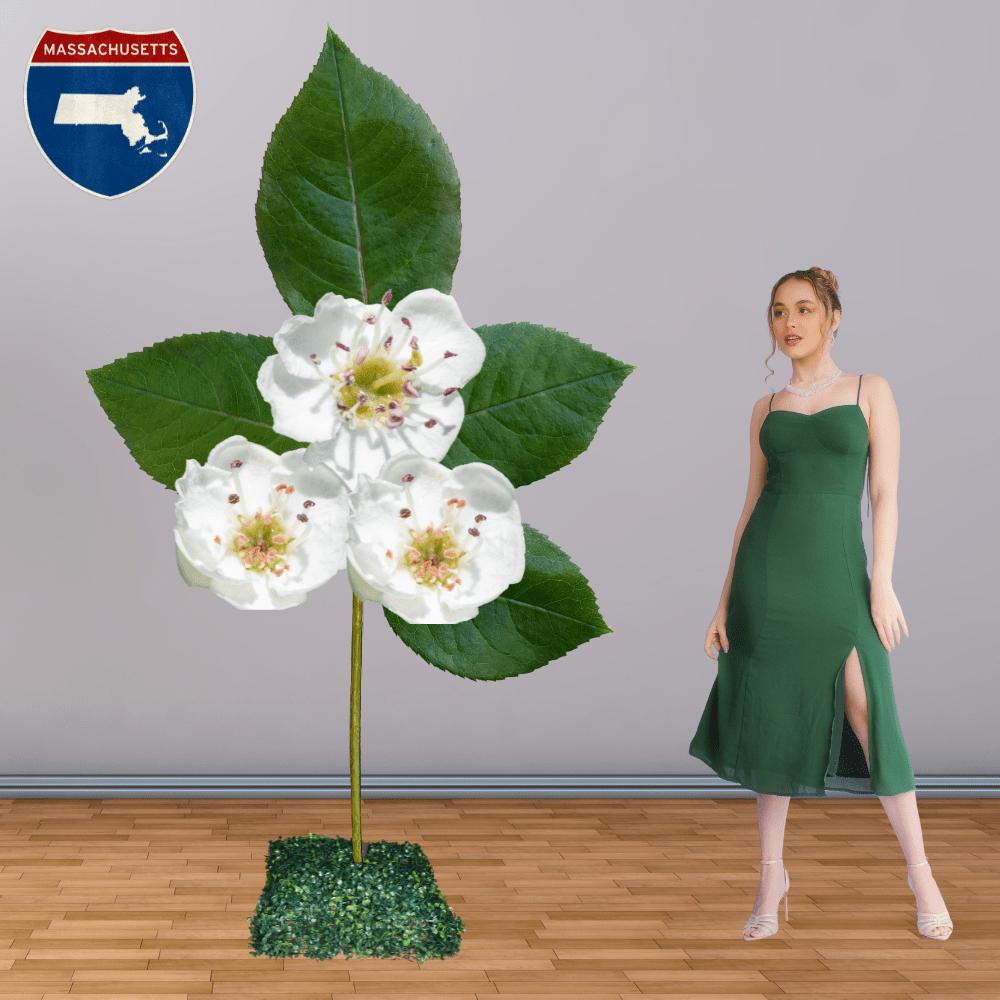 Woman posing with giant trailing arbutus mayflower representing Massachusetts state flower installation
