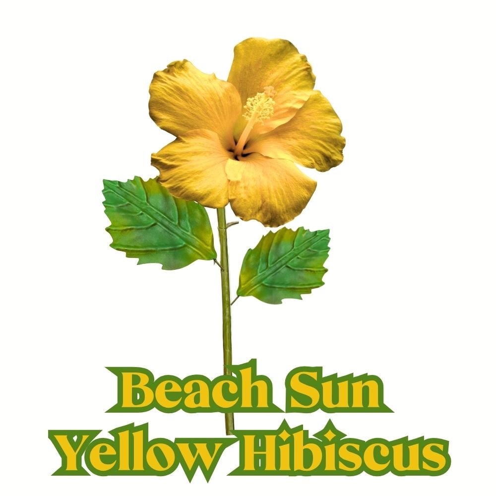Close-up of completed giant hibiscus flower showing tropical pink petals and yellow stamen center