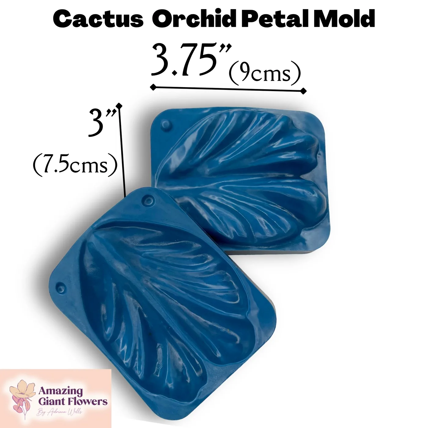 Cactus Orchid Petal Mold — double-sided foam flower mold and gumpaste veiner for making realistic life-size cactus orchid petals, 3.75" x 3"