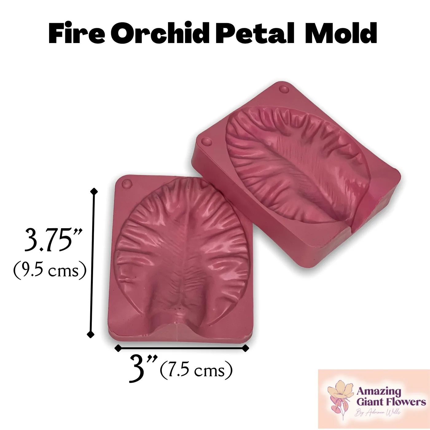 Fire Orchid Petal Mold — double-sided foam flower mold and gumpaste veiner for making realistic life-size fire orchid petals, 3.75" x 3"