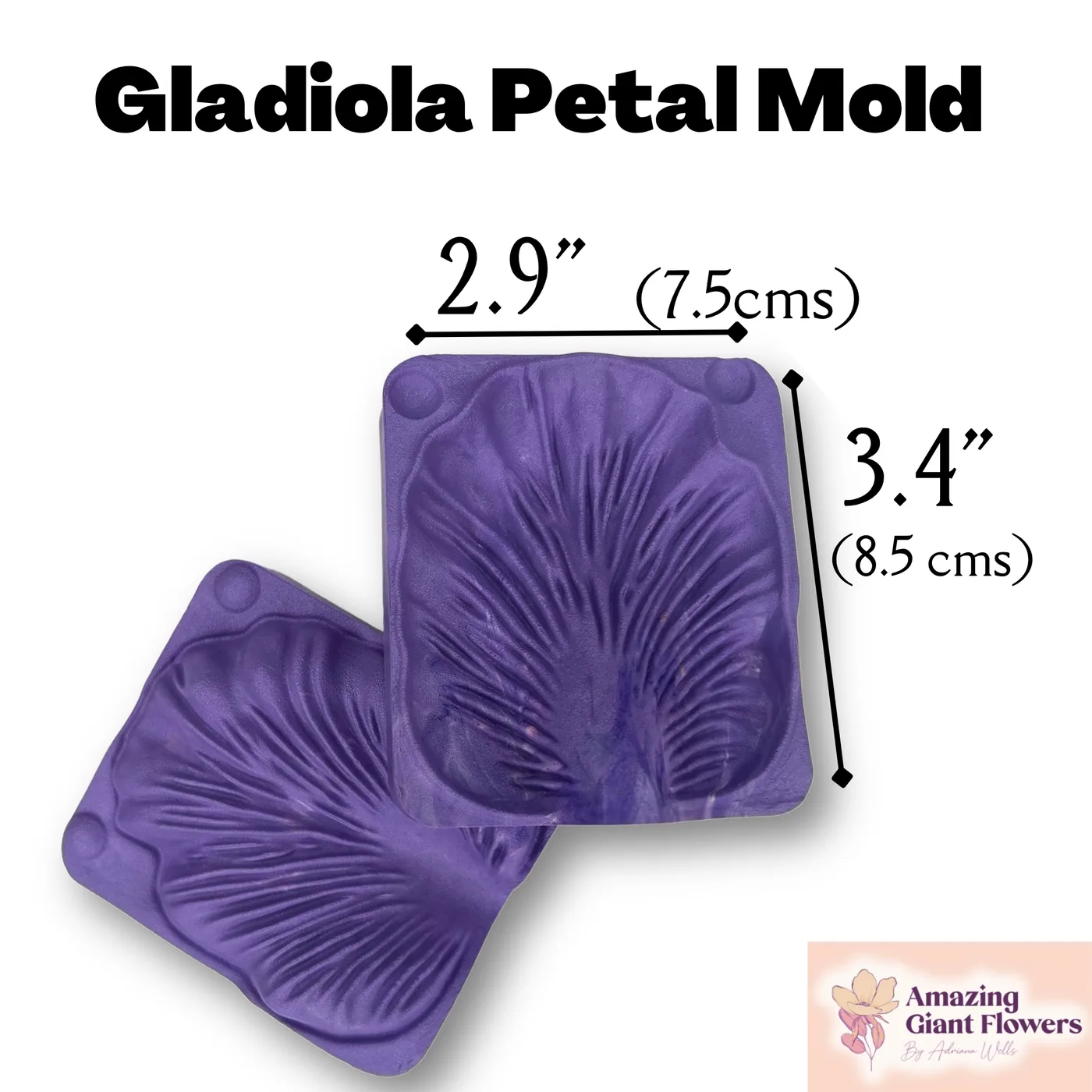 Gladiola Petal Mold — double-sided foam flower mold and gumpaste veiner for making realistic life-size gladiola petals, 2.9" x 3.4"