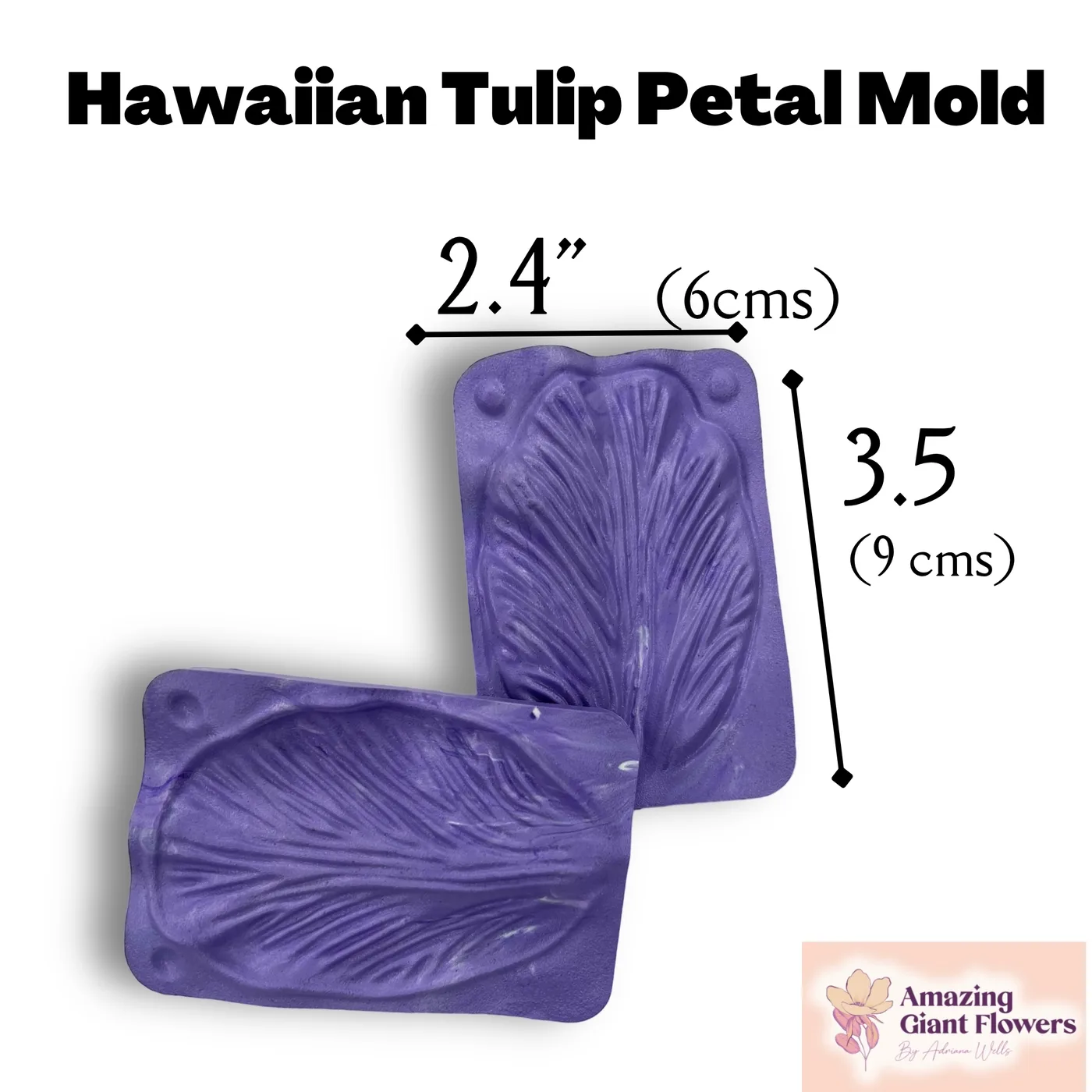 Hawaiian Tulip Petal Mold — double-sided foam flower mold and gumpaste veiner for making realistic life-size hawaiian tulip petals, 2.4" x 3.5"