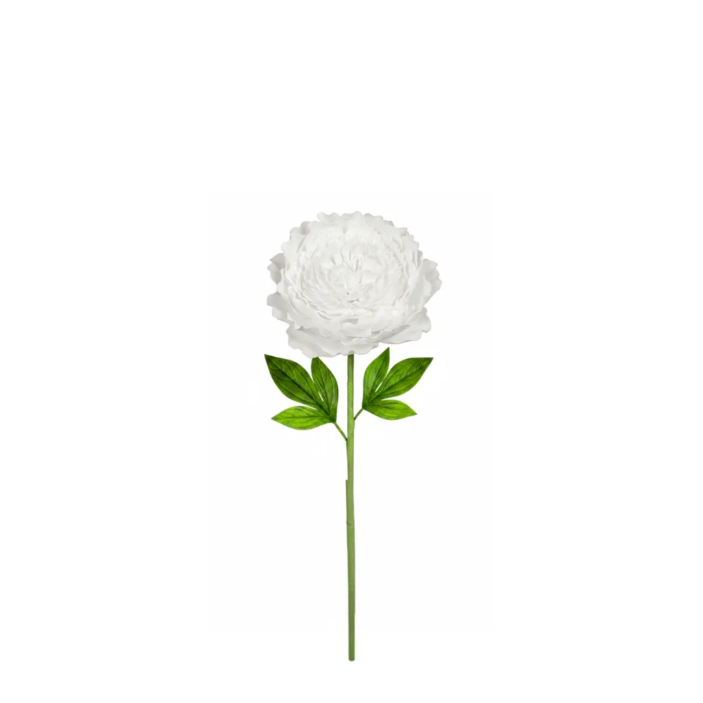 EVA Foam for Giant Flowers: Why Pros Choose It