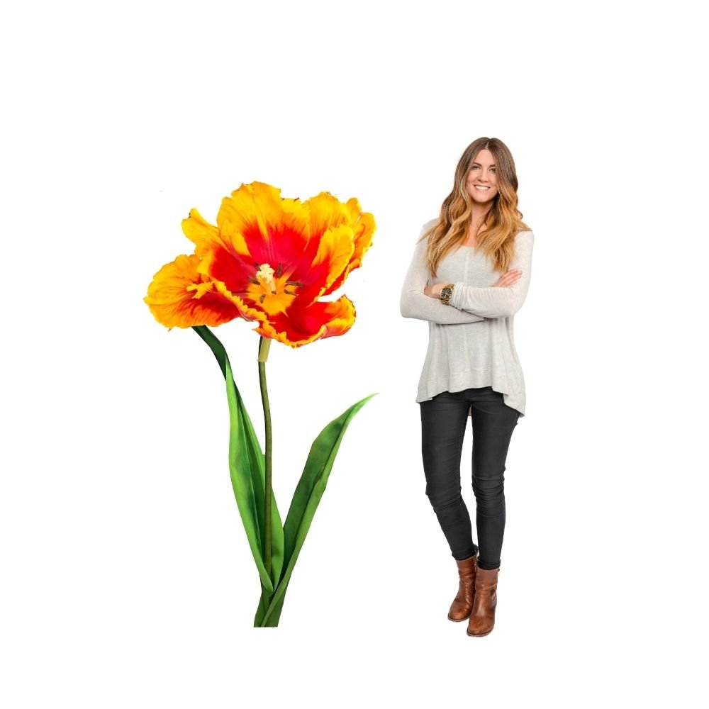 Close-up of giant parrot tulip showing feathered orange and green petal detail from tropical party kit