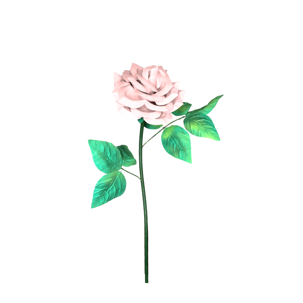 Blush