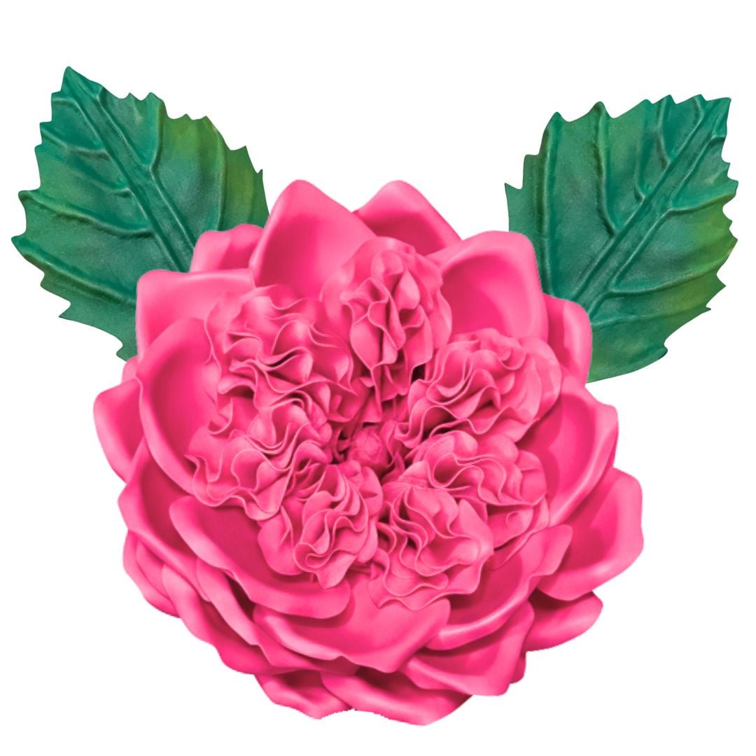 Pink English rose wall statement flower kit showing full bloom with softly layered pink petals