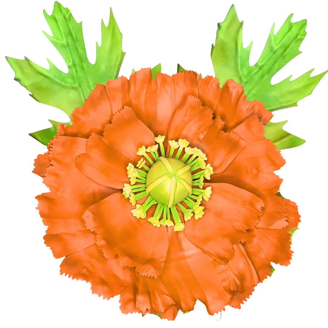 Wall Poppy Kit