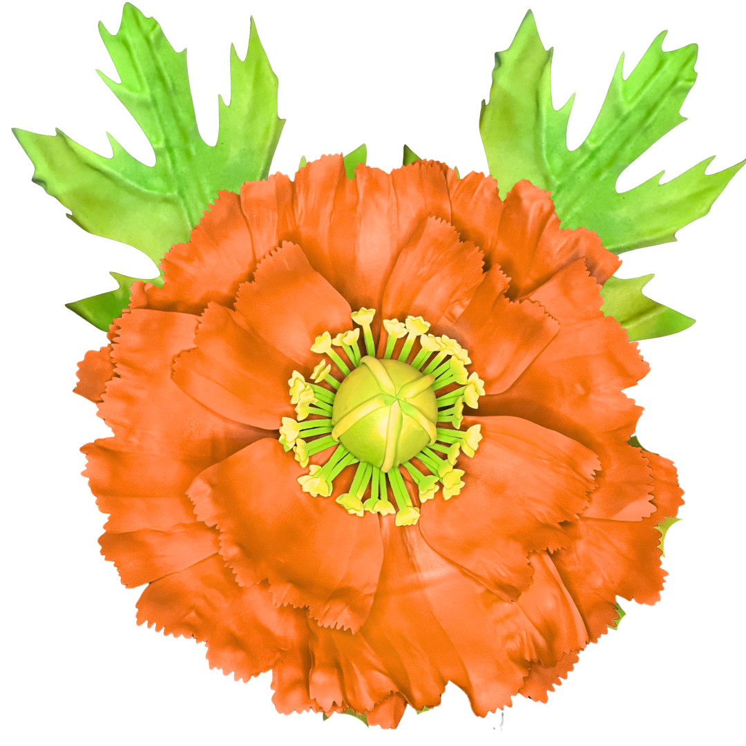 DIY Poppy Wall Flower Statement Kit - Bloom & Shape