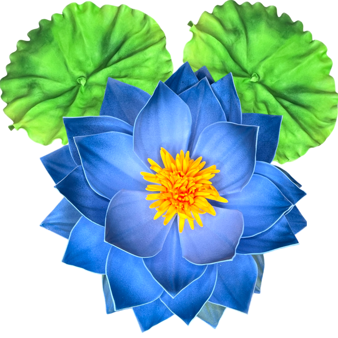 DIY Water Lily Wall Statement Kit - Bloom & Shape
