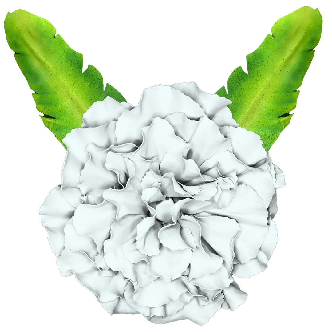 Giant wall flower kit — pre-cut EVA foam petals mounted on a backdrop wall