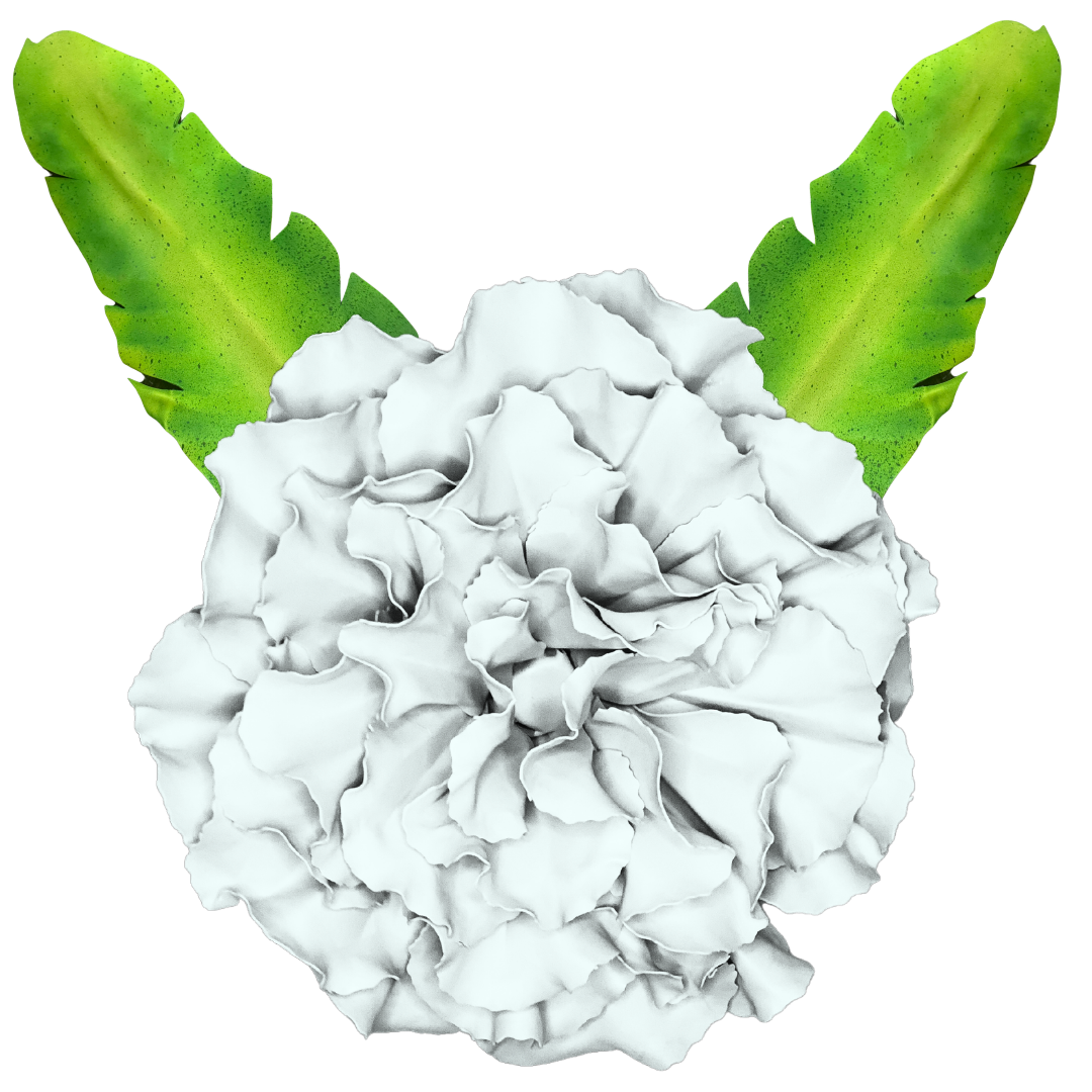 Red carnation wall statement flower with ruffled layered petals for wall-mounted DIY foam flower kit