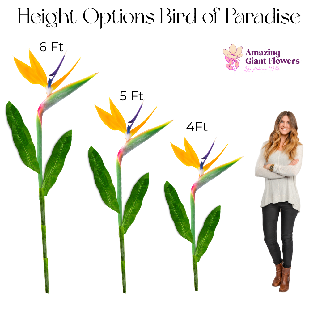 Bird of Paradise Freestanding Flower Kit — Tropical Statement Bloom - Image 5