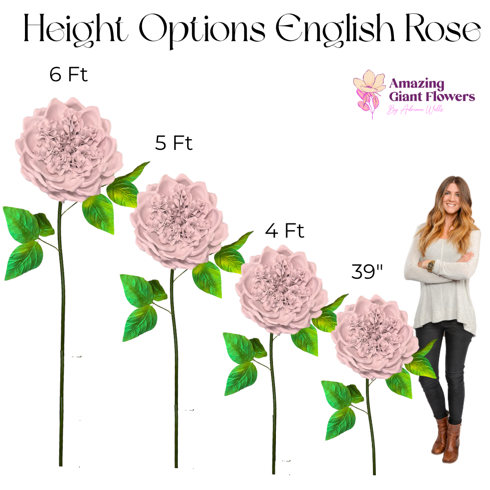 Giant Paper Flower Templates English Rose – No Cutting - Image 4