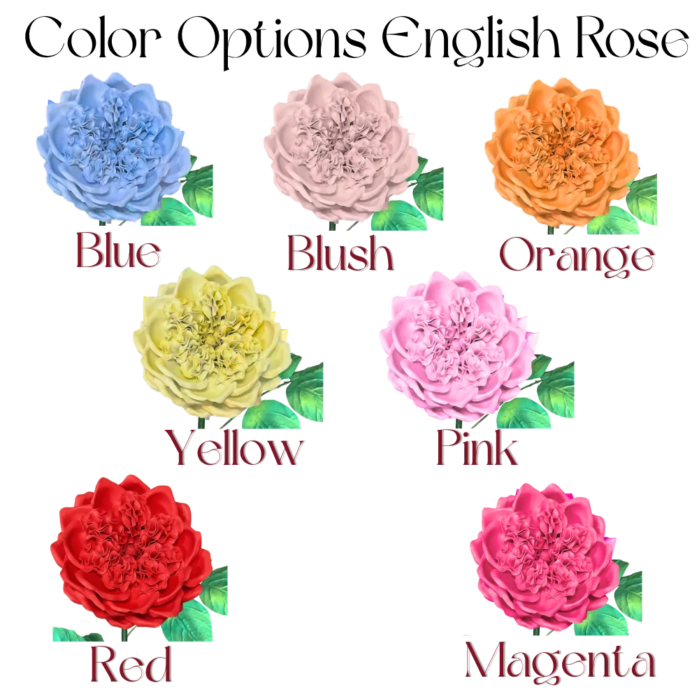 Giant Paper Flower Templates English Rose – No Cutting - Image 5