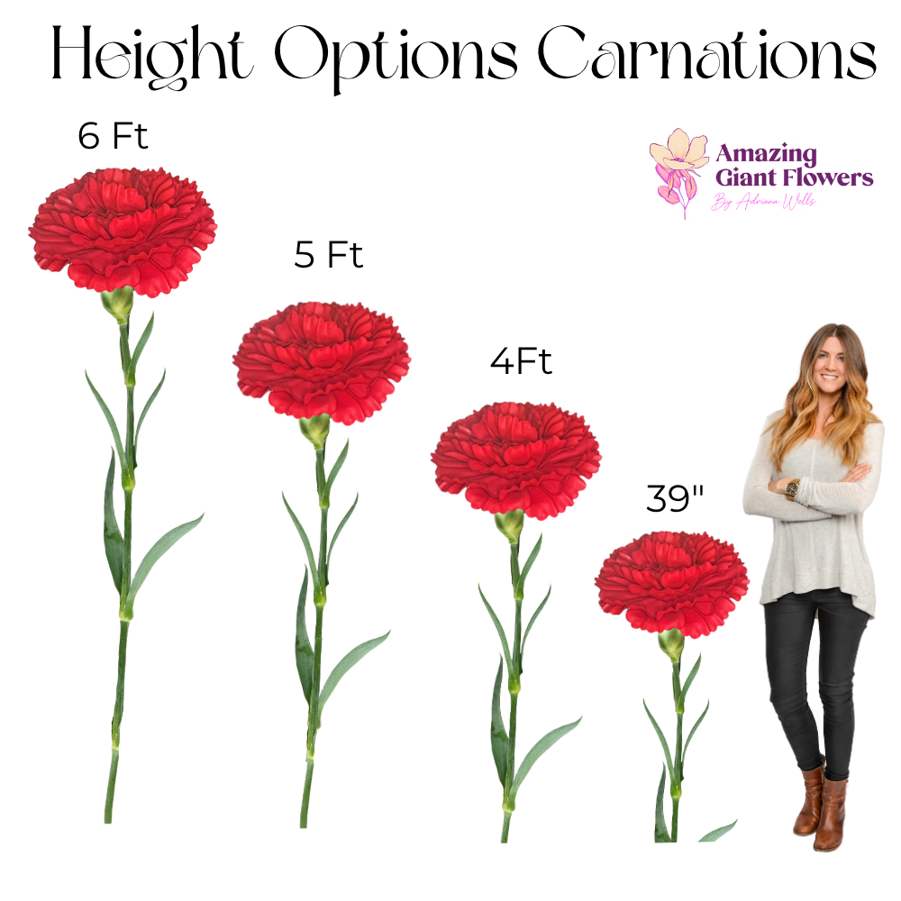 Giant Carnation DIY Kit — Freestanding Ruffled Statement Bloom - Image 5