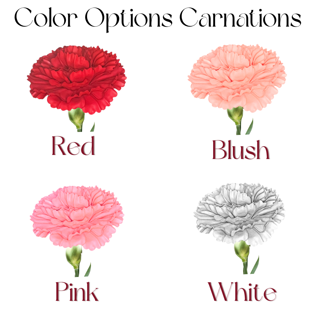 Giant Carnation DIY Kit — Freestanding Ruffled Statement Bloom - Image 6