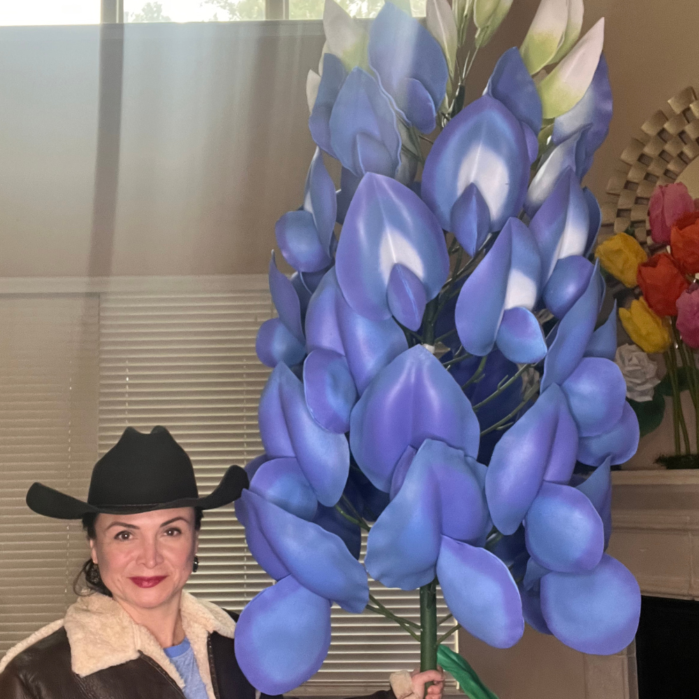 Upload Bluebonnets photo