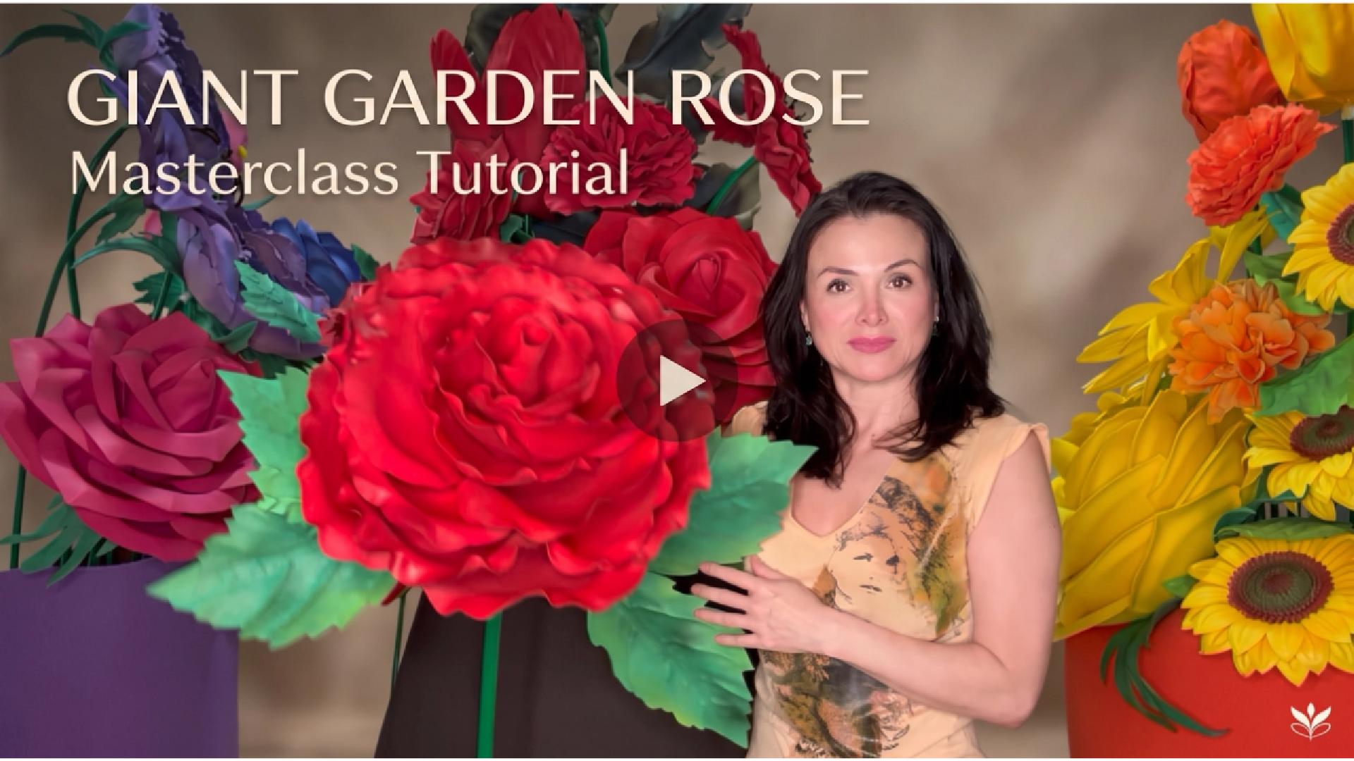 Watch the tutorial