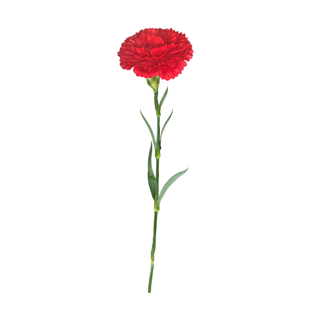 Setting Up Your First Freestanding Flower: A Start-to-Finish Walkthrough