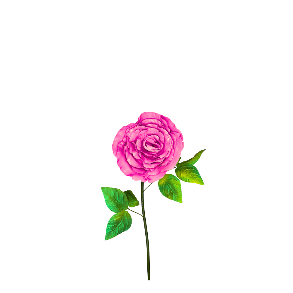 Magenta