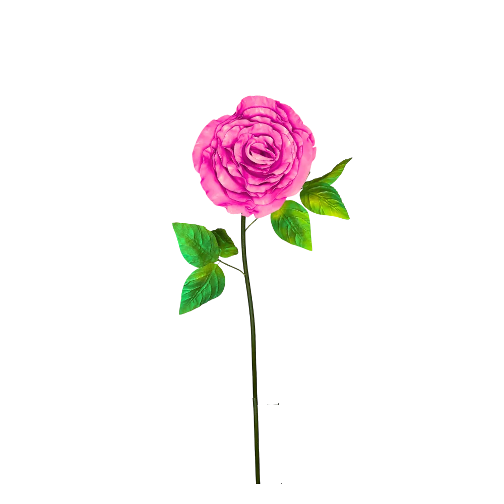 Magenta