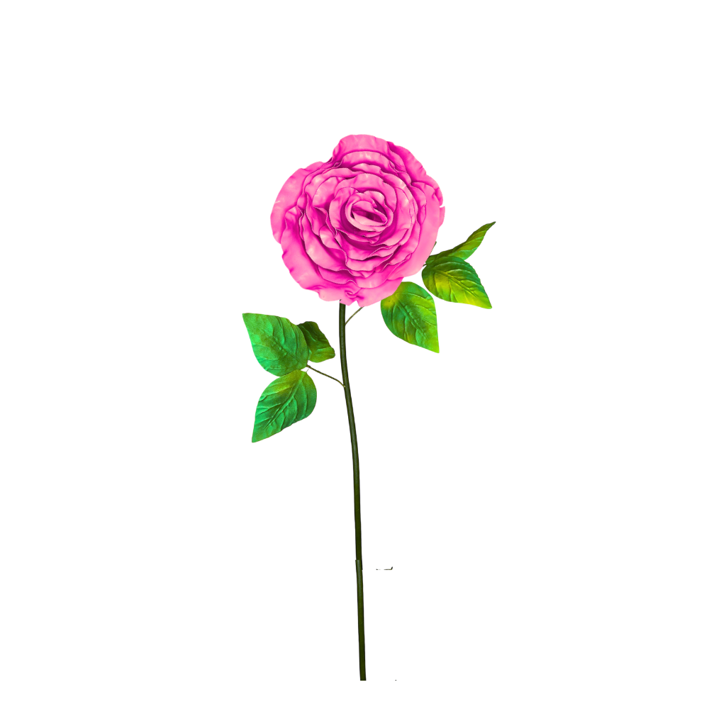 Magenta