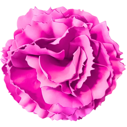 Magenta