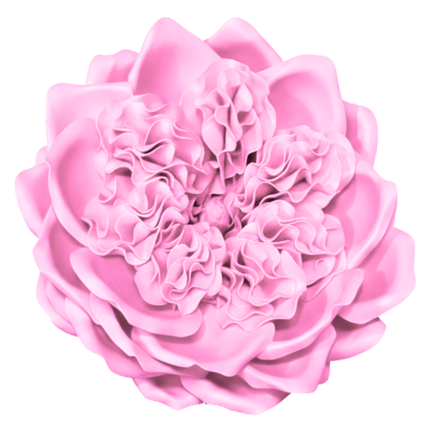Pastel Pink