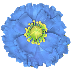 Blue