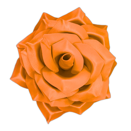Classic Rose Wall Statement Kit - Bloom & Shape
