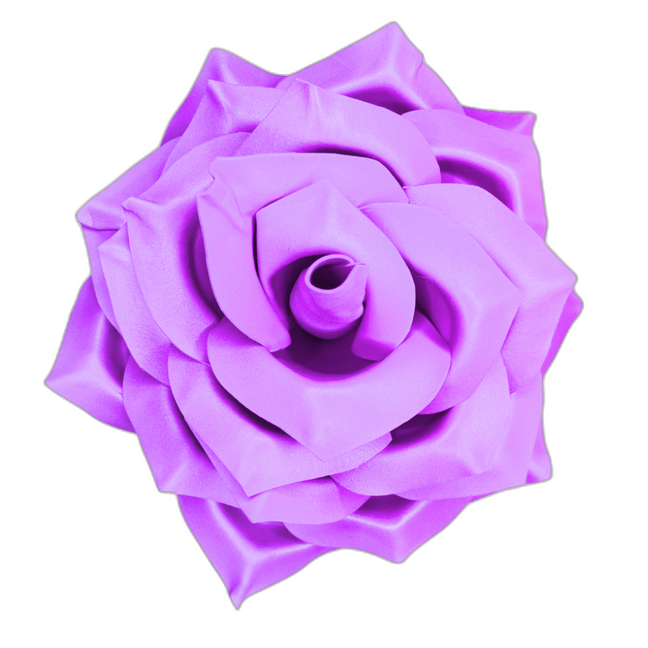 Classic Rose Wall Statement Kit - Bloom & Shape