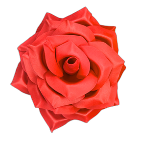 Classic Rose Wall Statement Kit - Bloom & Shape