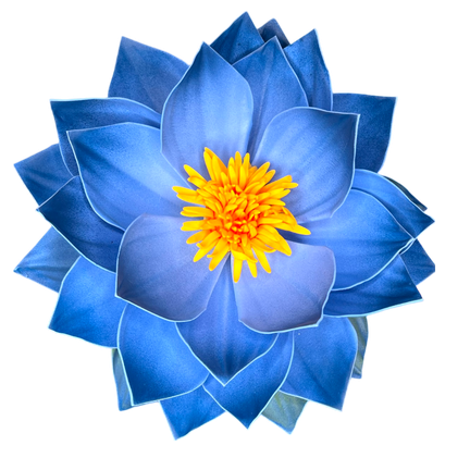 Blue