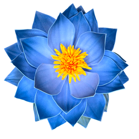 Blue