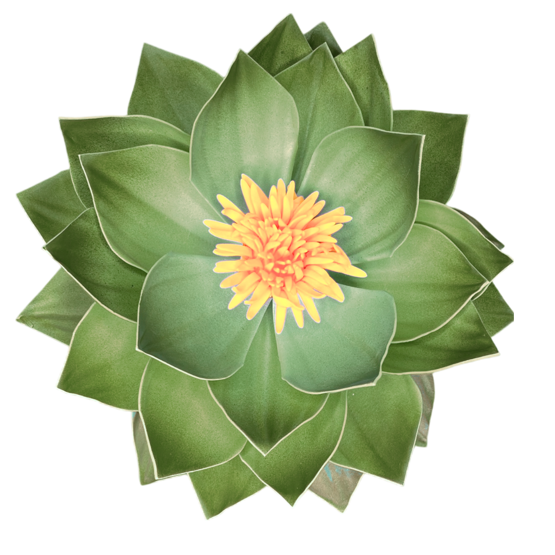 DIY Water Lily Wall Statement Kit - Bloom & Shape
