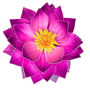 Magenta